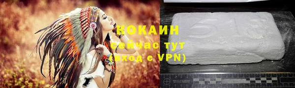 ALPHA-PVP Няндома