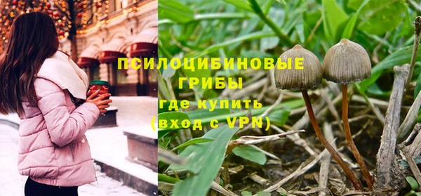 ALPHA-PVP Няндома