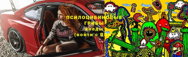 ALPHA-PVP Няндома