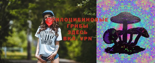 ALPHA-PVP Няндома