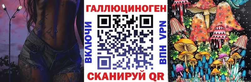 магазин продажи наркотиков  Старая Купавна  Галлюциногенные грибы Psilocybe 