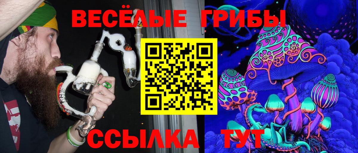 Псилоцибиновые грибы мицелий  Вход с VPN  Старая Купавна  Псилоцибиновые грибы Psilocybe 