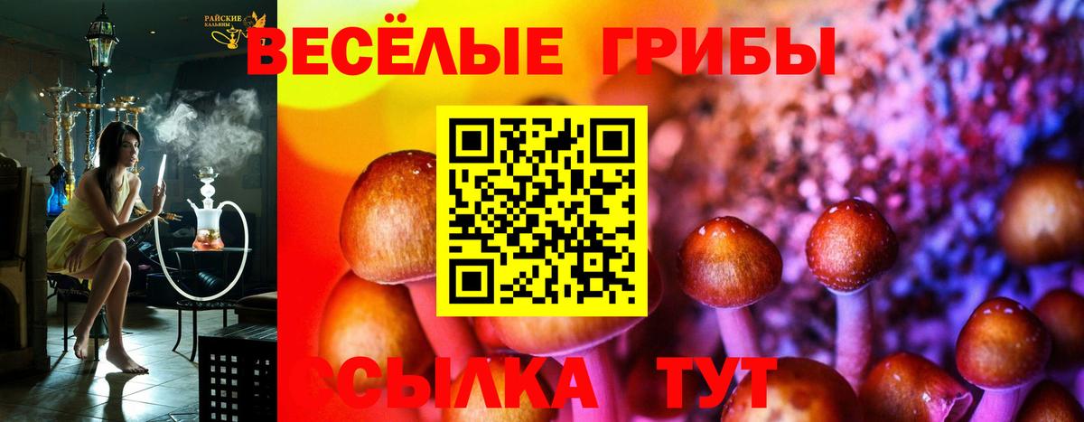 Галлюциногенные грибы Psilocybe Старая Купавна